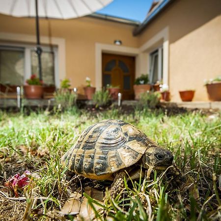 Sebenicum Apartments Sibenik Bagian luar foto